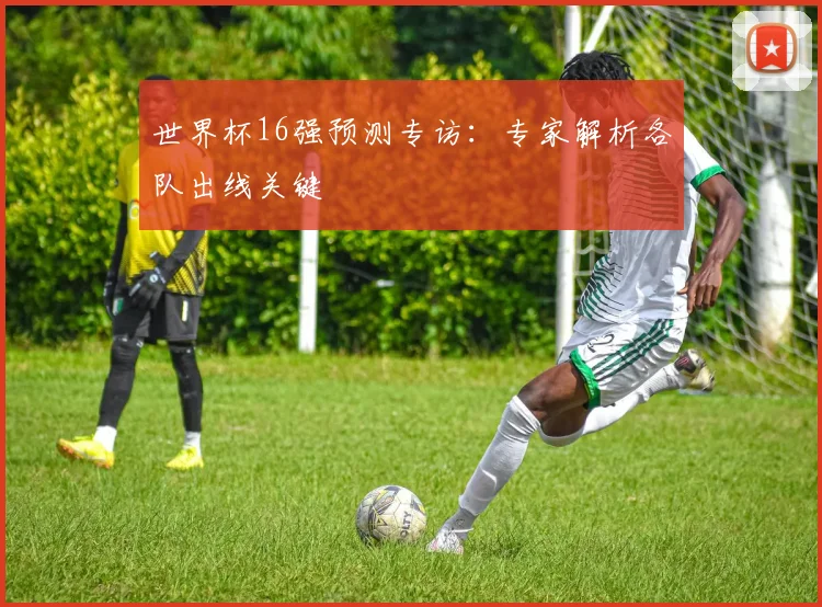 世界杯16强预测专访：专家解析各队出线关键