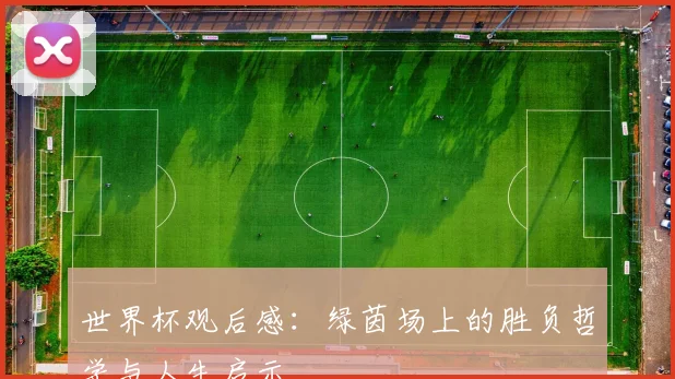世界杯观后感：绿茵场上的胜负哲学与人生启示