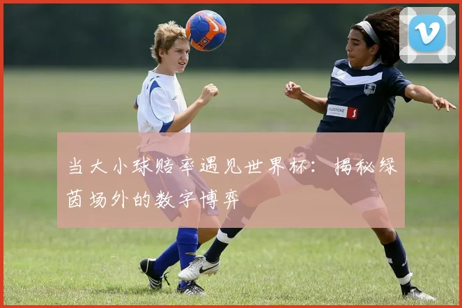 当大小球赔率遇见世界杯:揭秘绿茵场外的数字博弈
