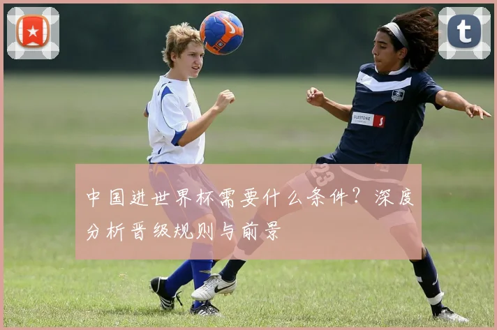 中国进世界杯需要什么条件?深度分析晋级规则与前景