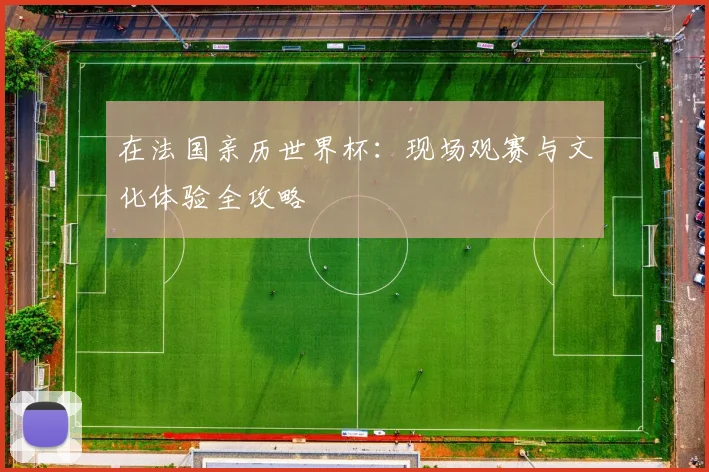 在法国亲历世界杯:现场观赛与文化体验全攻略