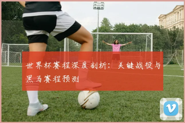 世界杯赛程深度剖析:关键战役与黑马赛程预测