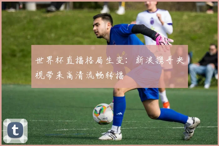 世界杯直播格局生变:新浪携手央视带来高清流畅转播